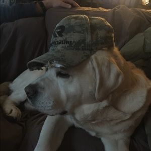 Meet your Posher, Millicent